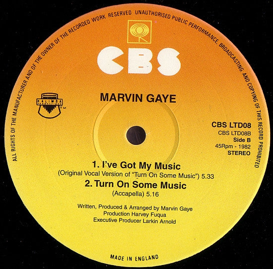 Marvin Gaye : Turn On Some Music (12", Single)