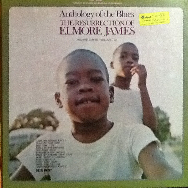 Elmore James : The Resurrection Of Elmore James (LP, Comp, RE)