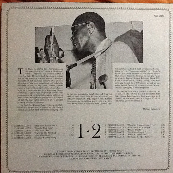 Elmore James : The Resurrection Of Elmore James (LP, Comp, RE)