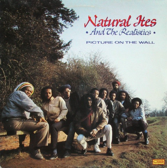 Natural Ites & The Realistics : Picture On The Wall (LP, Album)
