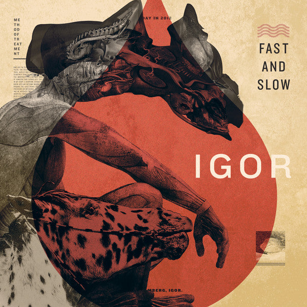 Igor  ~ Fast And Slow (Vinyl) - Djungel & Jazz