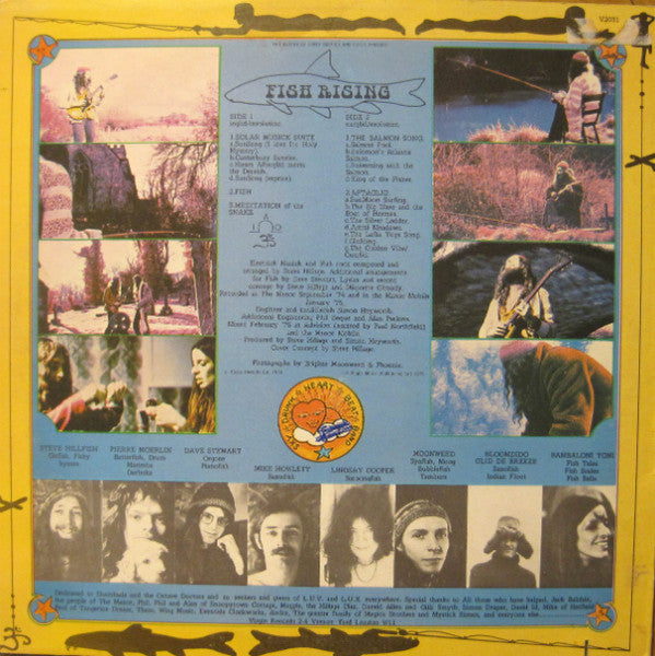 Steve Hillage ~ Fish Rising (Vinyl) - Djungel & Jazz