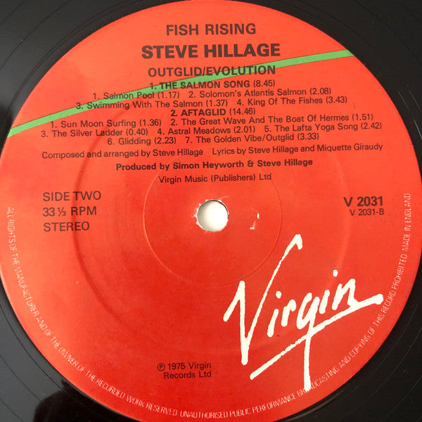 Steve Hillage ~ Fish Rising (Vinyl) - Djungel & Jazz
