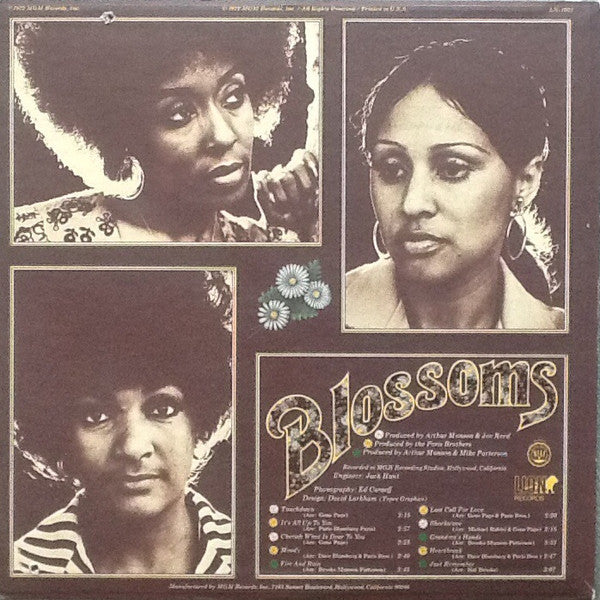 The Blossoms ~ Shockwave (Vinyl) - Djungel & Jazz