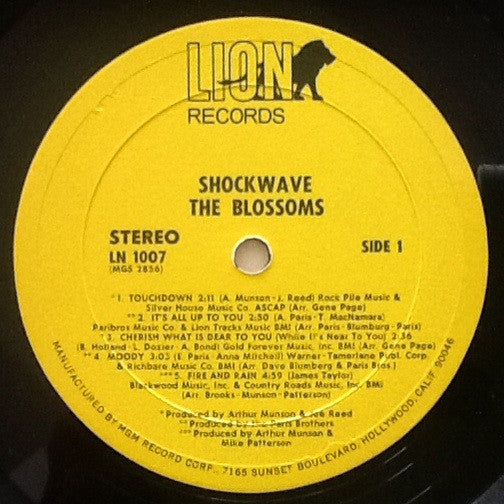 The Blossoms ~ Shockwave (Vinyl) - Djungel & Jazz