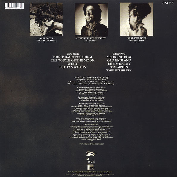 The Waterboys ~ This Is The Sea (Vinyl) - Djungel & Jazz