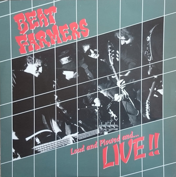 The Beat Farmers ~ Loud And Plowed And... Live!! (Vinyl) - Djungel & Jazz