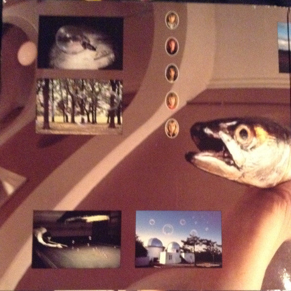 Helloween ~ Pink Bubbles Go Ape (Vinyl) - Djungel & Jazz