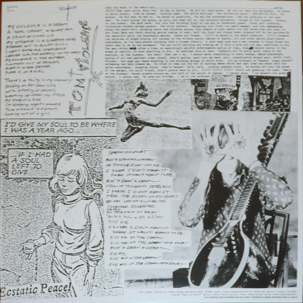 Sonic Youth ~ EVOL (Vinyl) - Djungel & Jazz