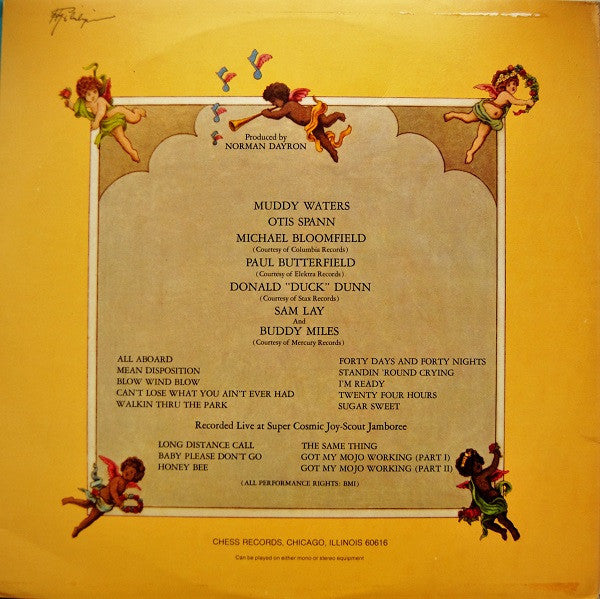 Muddy Waters / Otis Spann / Michael Bloomfield* / Paul Butterfield / Donald "Duck" Dunn / Sam Lay : Fathers And Sons (2xLP, Album)
