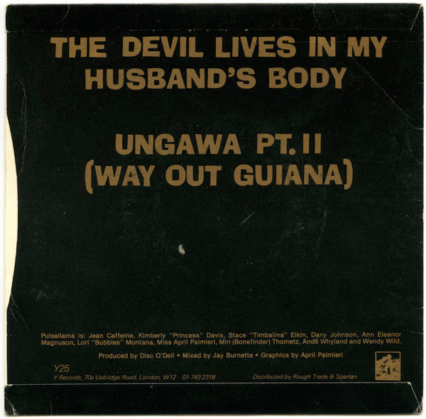 Pulsallama ~ The Devil Lives In My Husband's Body (Vinyl) - Djungel & Jazz