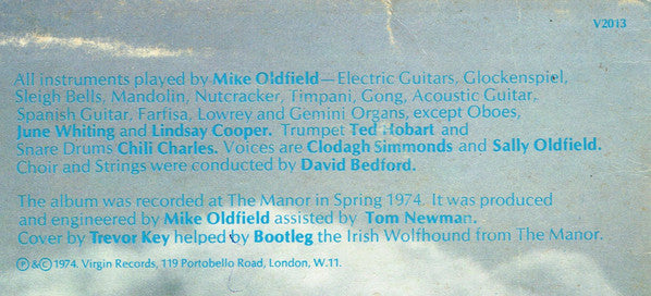 Mike Oldfield ~ Hergest Ridge (Vinyl) - Djungel & Jazz