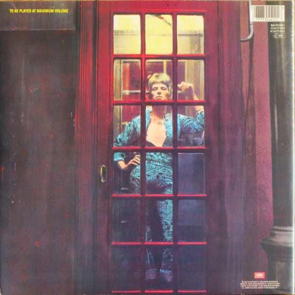 David Bowie ~ The Rise And Fall Of Ziggy Stardust And The Spiders From Mars (Vinyl) - Djungel & Jazz