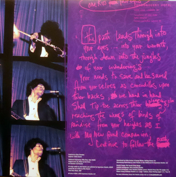 The Jimi Hendrix Experience ~ Are You Experienced (Vinyl) - Djungel & Jazz
