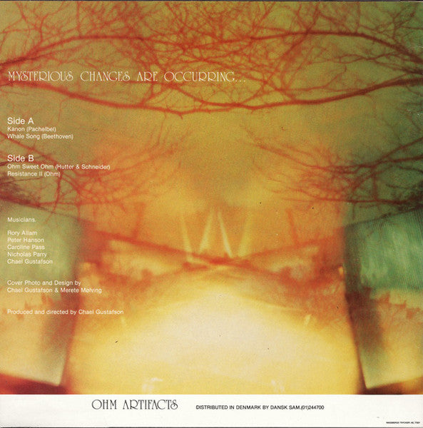 Ohm  ~ Mysterious Changes Are Occurring... (Vinyl) - Djungel & Jazz