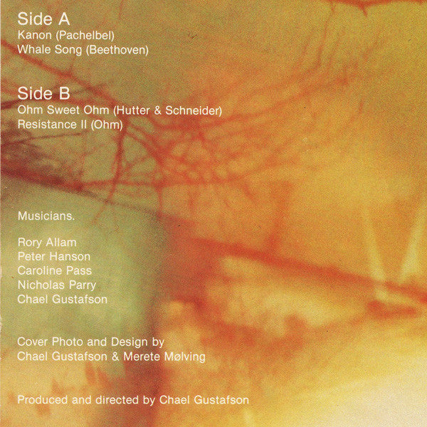 Ohm  ~ Mysterious Changes Are Occurring... (Vinyl) - Djungel & Jazz