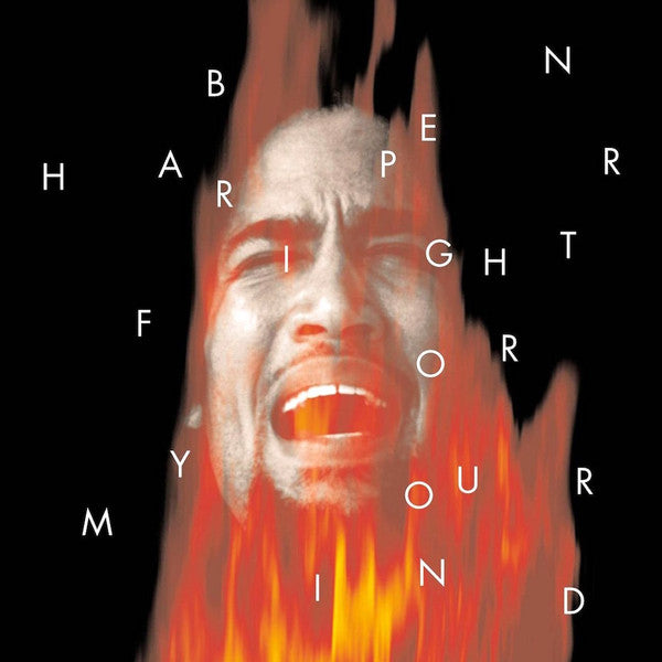 Ben Harper ~ Fight For Your Mind (Vinyl) - Djungel & Jazz