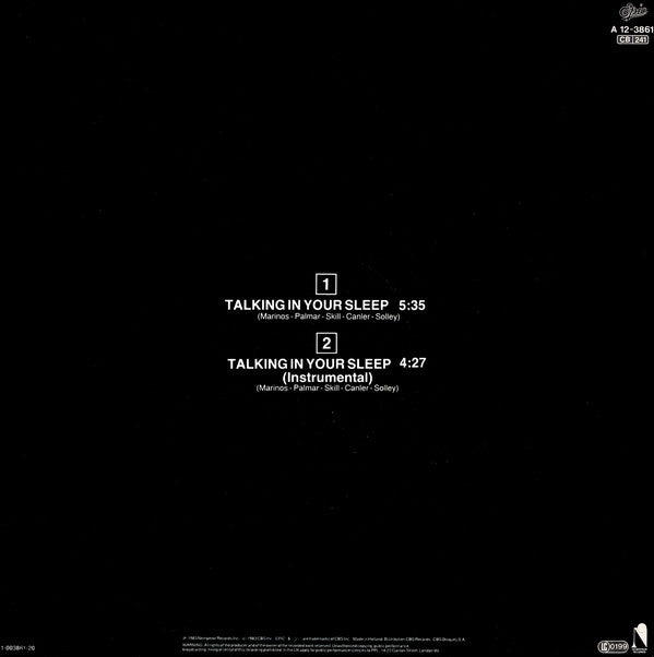 The Romantics ~ Talking In Your Sleep (Special Remix) (Vinyl) - Djungel & Jazz