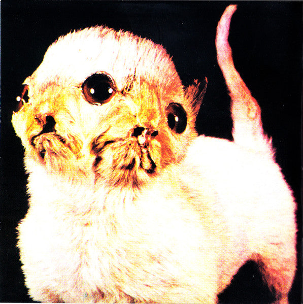 Goretex ~ The Art Of Dying (Vinyl) - Djungel & Jazz