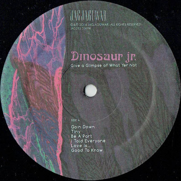 Dinosaur Jr. : Give A Glimpse Of What Yer Not (LP, Album)