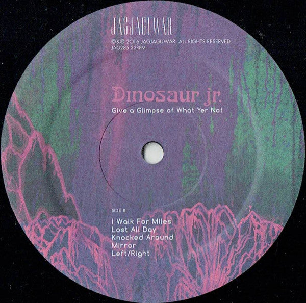 Dinosaur Jr. : Give A Glimpse Of What Yer Not (LP, Album)