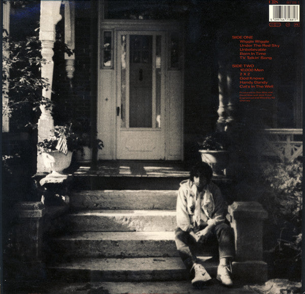 Bob Dylan : Under The Red Sky (LP, Album)