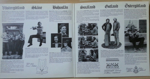 Various ~ Unga Spelmän Från Södra Sverige (Vinyl) - Djungel & Jazz
