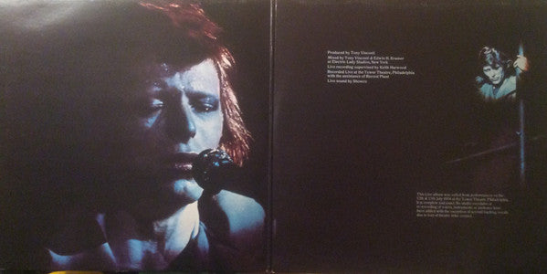David Bowie ~ David Live (Vinyl) - Djungel & Jazz