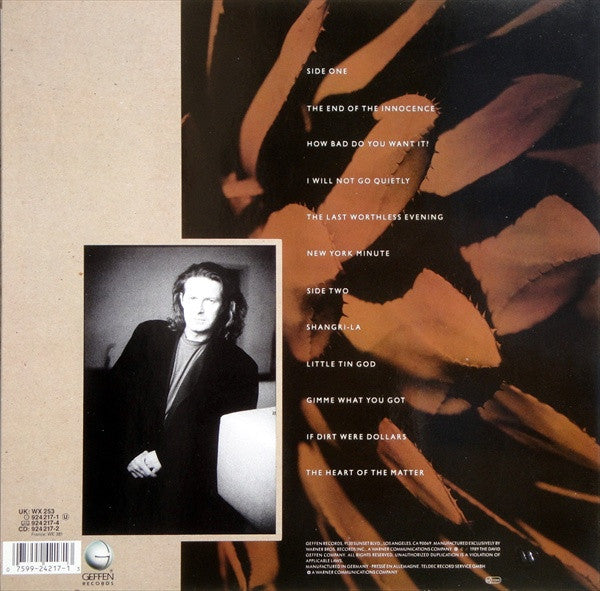 Don Henley ~ The End Of The Innocence (Vinyl) - Djungel & Jazz