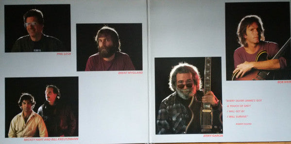 Grateful Dead ~ In The Dark (Vinyl) - Djungel & Jazz