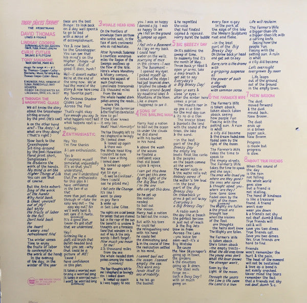 David Thomas & The Peds ~ More Places Forever (Vinyl) - Djungel & Jazz