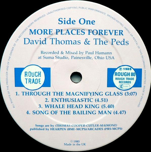 David Thomas & The Peds ~ More Places Forever (Vinyl) - Djungel & Jazz