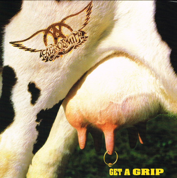 Aerosmith ~ Get A Grip (Vinyl) - Djungel & Jazz