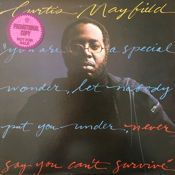 Curtis Mayfield ~ Never Say You Can't Survive (Vinyl) - Djungel & Jazz