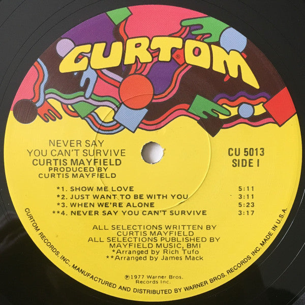 Curtis Mayfield ~ Never Say You Can't Survive (Vinyl) - Djungel & Jazz