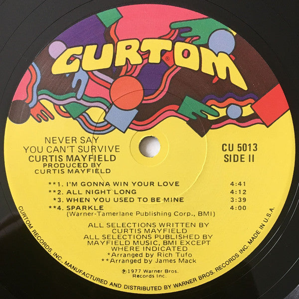 Curtis Mayfield ~ Never Say You Can't Survive (Vinyl) - Djungel & Jazz