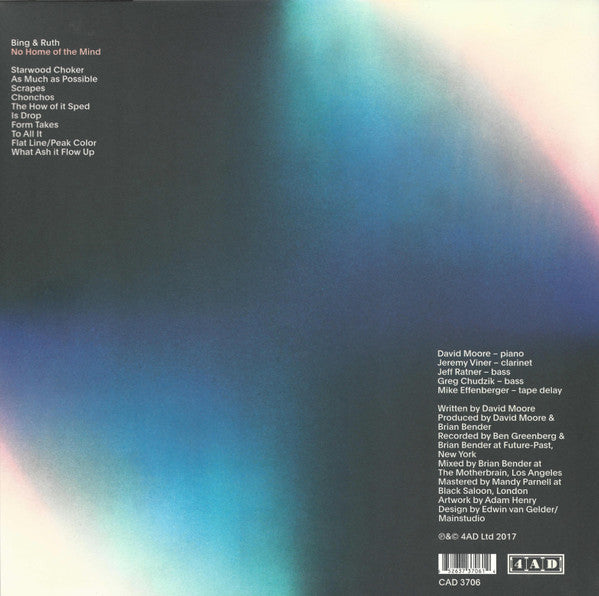 Bing & Ruth ~ No Home Of The Mind (Vinyl) - Djungel & Jazz