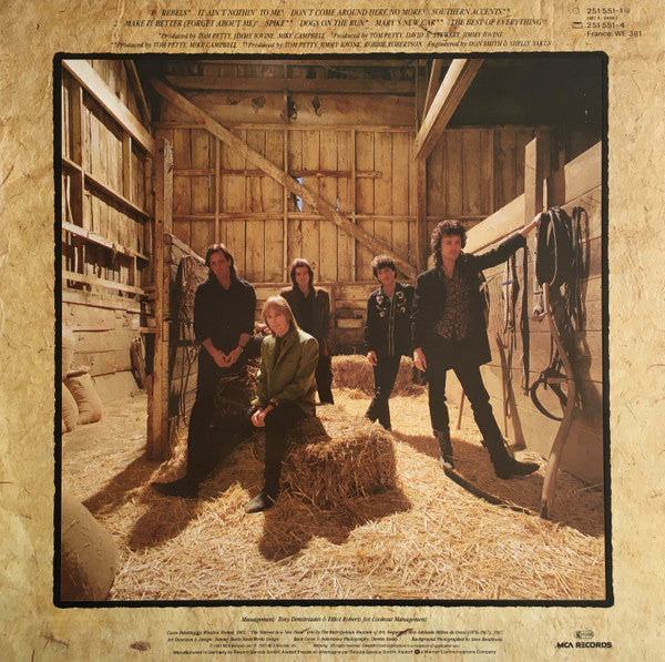 Tom Petty And The Heartbreakers ~ Southern Accents (Vinyl) - Djungel & Jazz