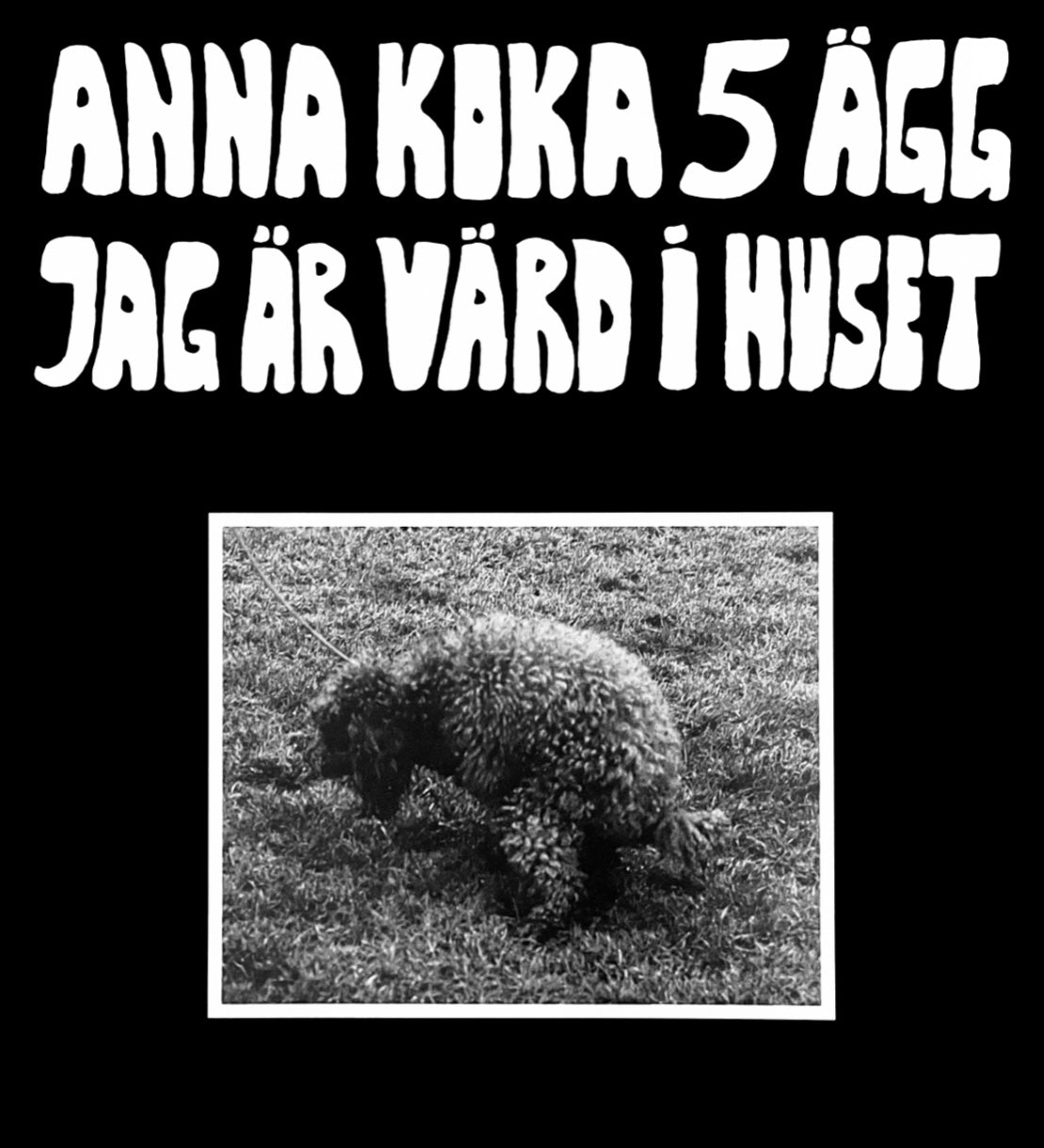 Anna Koka 5 Ägg Jag Är Värd I Huset (Vinyl) - Djungel & Jazz