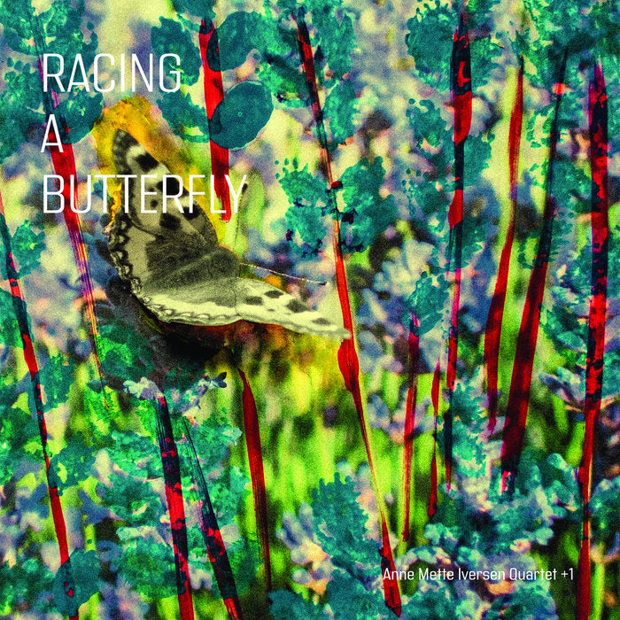 Anne Mette Iversen Quartet +1 ~ Racing A Butterfly (Vinyl) - Djungel & Jazz