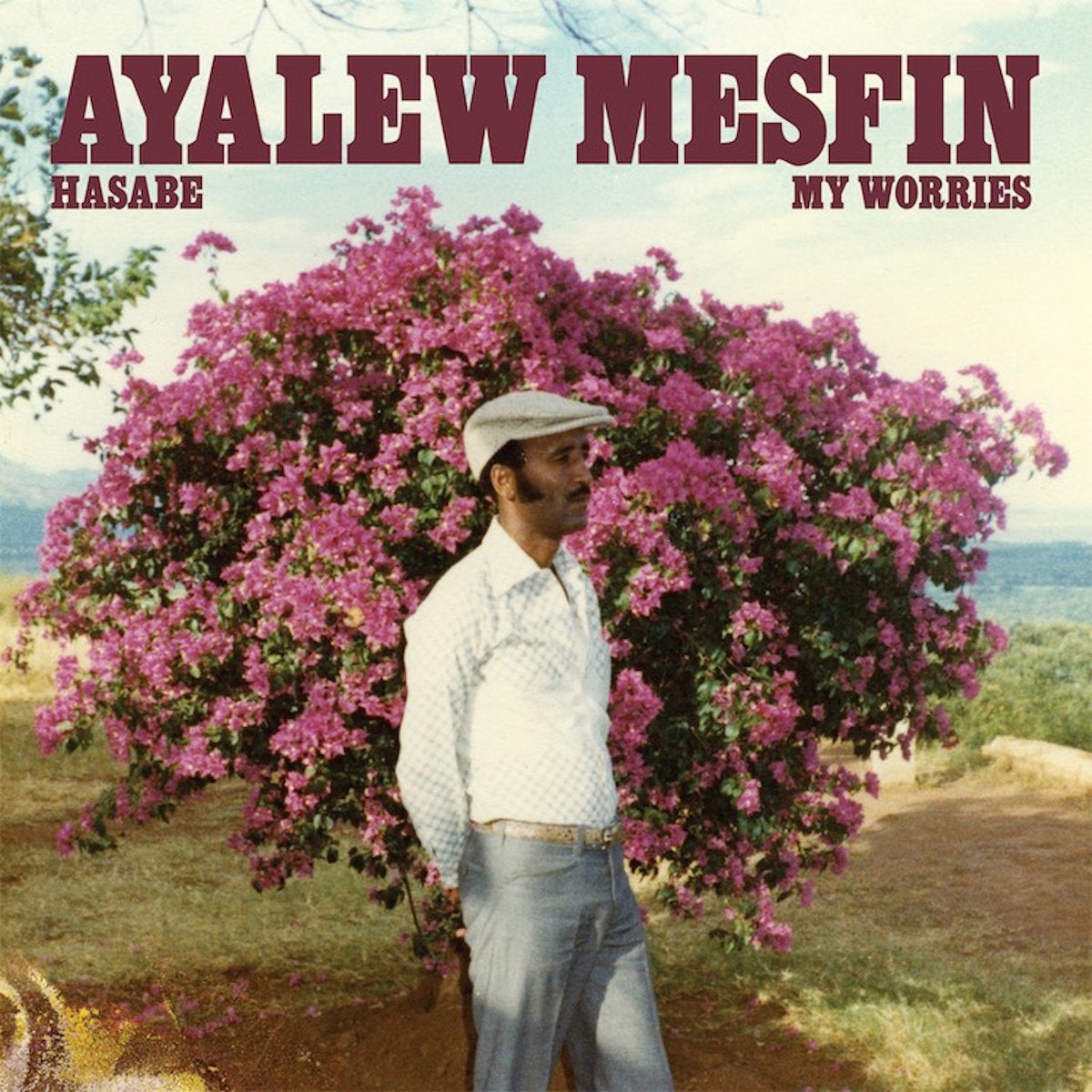 Ayalew Mesfin ~ Hasabe - My Worries (Vinyl) - Djungel & Jazz