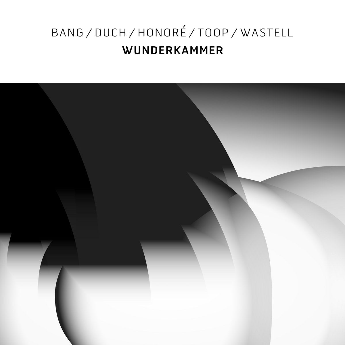 Bang / Duch / Honoré / Toop / Wastell ~ Wunderkammer (Vinyl) - Djungel & Jazz