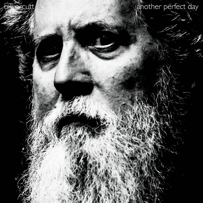 Bill Orcutt ~ Another Perfect Day (Vinyl) - Djungel & Jazz