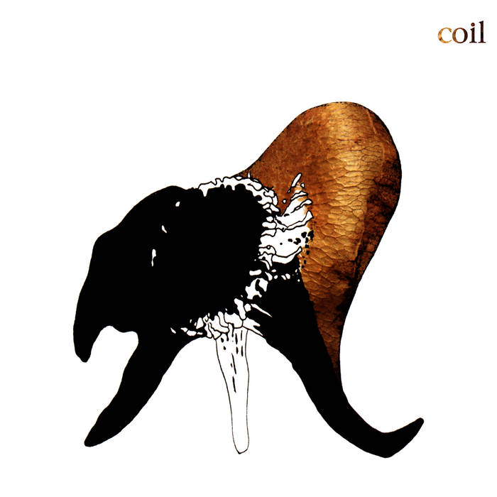 Coil ~ Black Antlers (Vinyl) - Djungel & Jazz