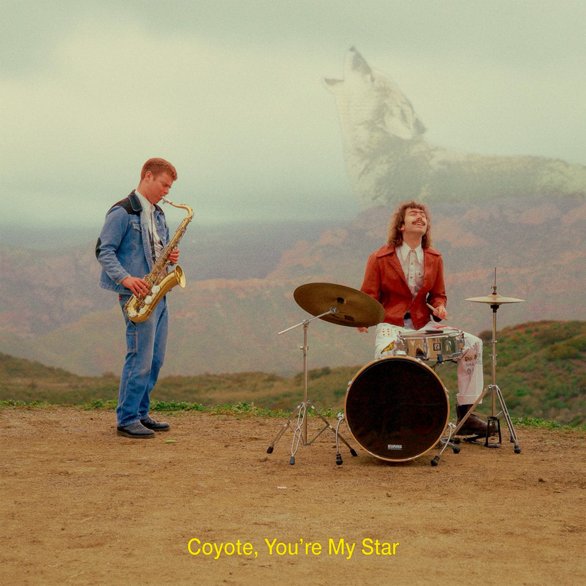Dana and Alden ~ Coyote, You're My Star (Vinyl) - Djungel & Jazz