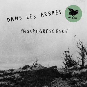 Dans Les Arbres ~ Phosphorescence