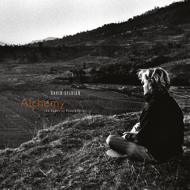 David Sylvian ~ Alchemy An Index Of Possibilities