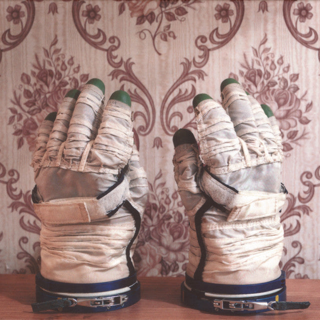 David Sylvian & Stephan Mathieu ~ Wandermude