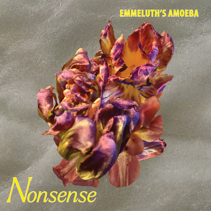 Emmeluth's Amoeba ~ Nonsense (Vinyl) - Djungel & Jazz