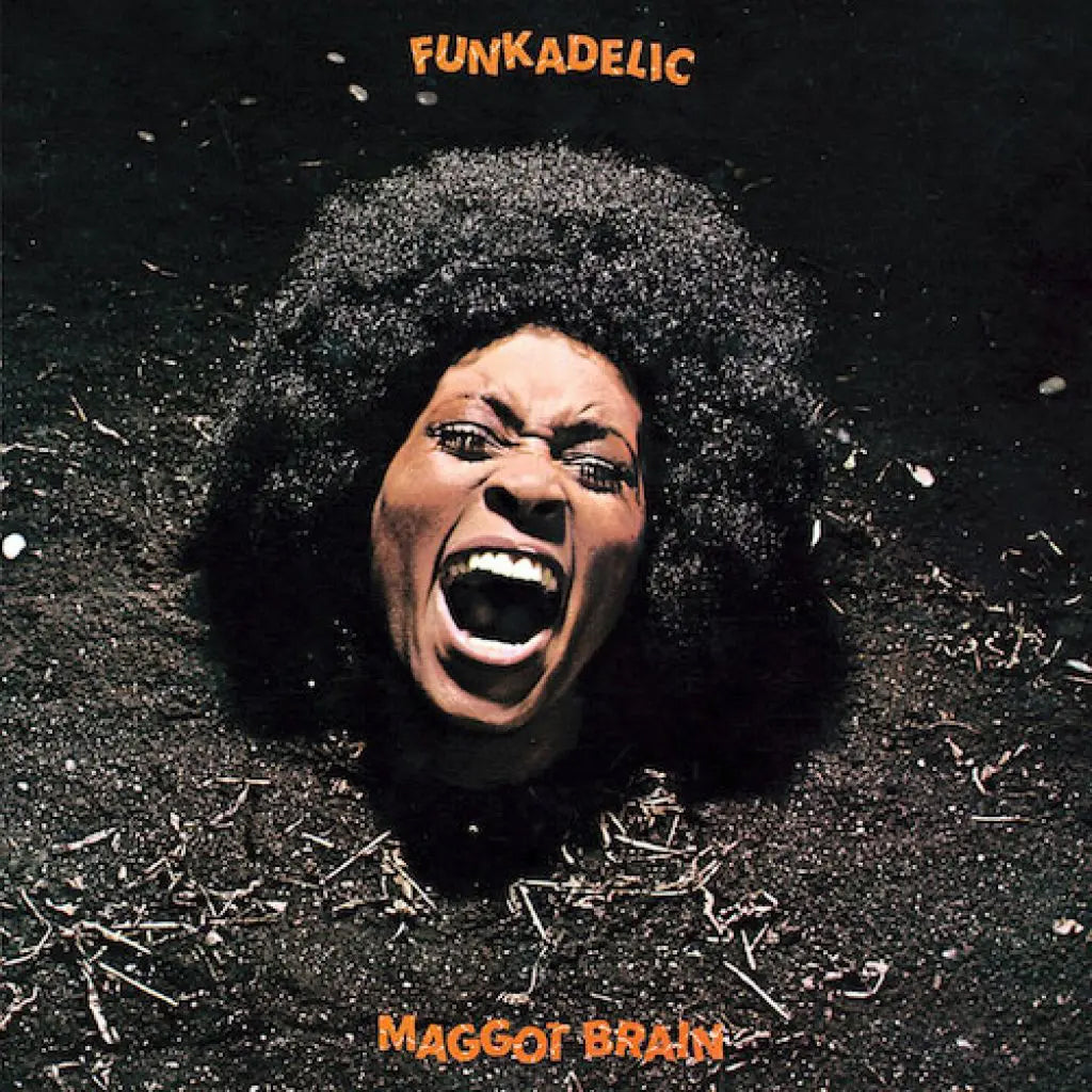 Funkadelic ~ Maggot Brain (Vinyl) - Djungel & Jazz